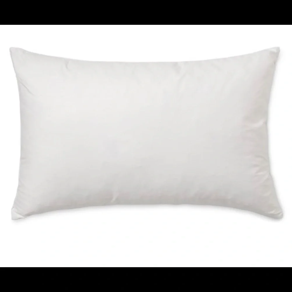 West Elm Pillow Insert